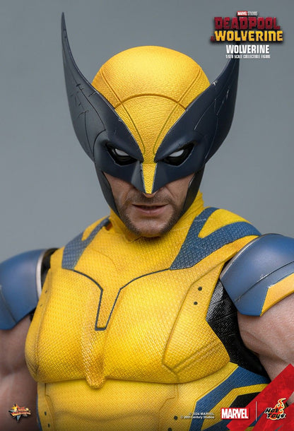 HOT TOYS DEADPOOL & WOLVERINE NORMAL EDITION MMS753