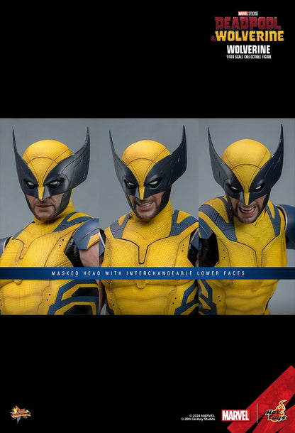 HOT TOYS DEADPOOL & WOLVERINE NORMAL EDITION MMS753