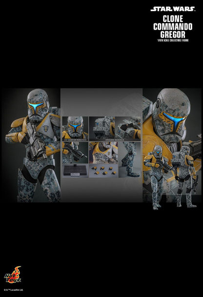 HOT TOYS STAR WARS CLONE WARS CLONE COMMANDO GREGOR TMS155