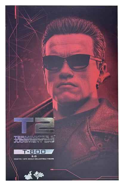 HOT TOY TERMINATOR 2 JUDGEMENT DAY T-800 2.0 MMS795